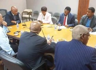 የአማራ ክልል ክፍተኛ መሪዎች የልዑካን ቡድን በሰሜን አሜሪካ ከሚኖሩ “የሠላም፣ ፍትሕና ዕድገት ለኢትዮጵያ ሕብረት” አመራሮች ጋር ውይይት አደረጉ