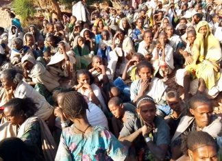 ድርቅን መቋቋም የሚቻለው በምንድን ነው?