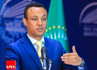 ዲያስፖራው ከ20 ቢሊዮን ዶላር በላይ ወደ ሀገር ቤት መላኩ ተገለጸ፡፡