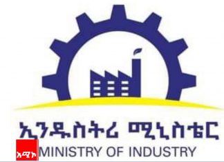 በአምራች ኢንዱስትሪው የኢኮኖሚ መዋቅራዊ ሽግግር ለማምጣት ምን ተቀምጦ ይኾን?