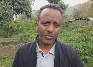 በአንደኛ ዙር መስኖ ልማት 1 ነጥብ 5 ሚሊዮን ኩንታል ምርት መሠብሠቡን የሰሜን ወሎ ዞን ግብርና መምሪያ አስታወቀ።