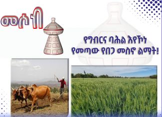 የግብርና ባሕል እየኾነ የመጣው የበጋ መስኖ ልማት!
