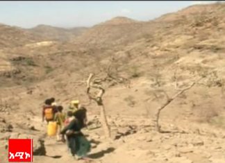 “ዘርተን ያመረትነው ምርት የለም፤ ለእንስሳት የሚኾን መኖም አልበቀለም፣ እርዳታ እንሻለን” በድርቅ የተጎዱ ባለታሪክ