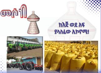 ከእጅ ወደ አፍ ያላለፈው ኢኮኖሚ!
