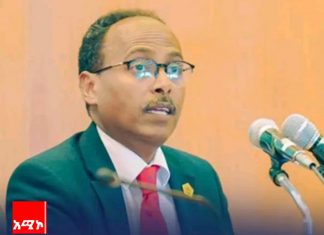 ኢትዮጵያ በሠራችው ጠንካራ የዲፕሎማሲ ሥራ ብሔራዊ ጥቅሟን ማስከበሯ ተገለጸ።