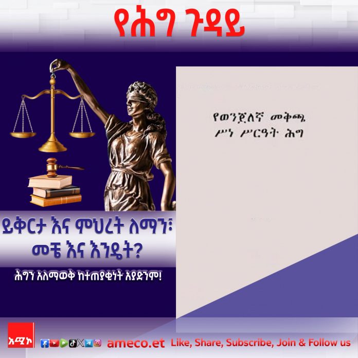 440881671_831577242333535_8315900625858139176_n