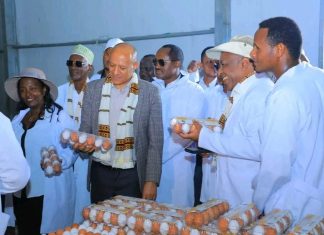 ምክትል ጠቅላይ ሚኒስትር ተመሥገን ጥሩነህ በሲዳማ ክልል የሌማት ትሩፋት መርሐ ግብር ሥራዎችን ጎበኙ።