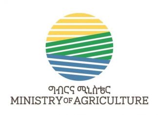ከ87 ሚሊዮን ኩንታል በላይ የስንዴ ምርት መገኘቱን ግብርና ሚኒስቴር ገለጸ፡፡