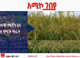 ዘመናዊ ማሽን እና የሩዝ ምርት ጥራት