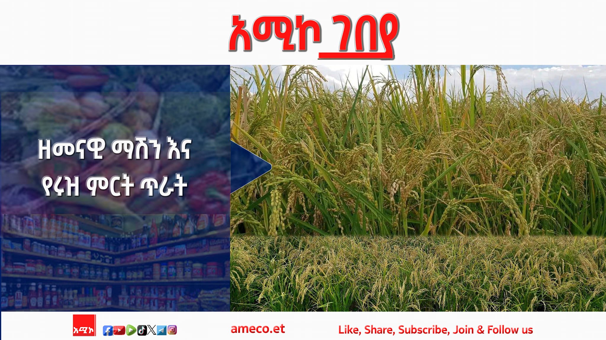 ዘመናዊ ማሽን እና የሩዝ ምርት ጥራት