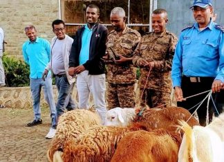 “በሀገሪቱ አራቱ ማዕዘናት በምናደርገው የጸጥታ ማሥከበር ሥራ ሕዝባችን ተለይቶን አያውቅም” የሀገር መከላከያ ሠራዊት አባላት።