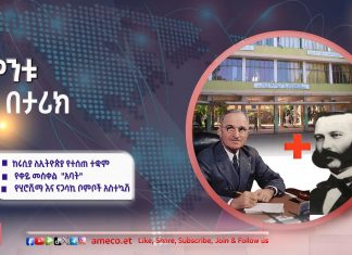 ከሩሲያ ለኢትዮጵያ የተሰጠ ተቋም