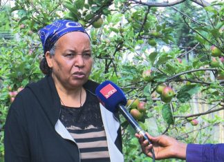የአፕል ልማት በሚፈለገው ልክ ምርታማ እንዲኾን ሊሠራ እንደሚገባ ተገለጸ፡፡