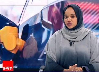 ባለፉት ሁለት ዓመታት የሕዝብ አገልግሎት ለሚሰጡ ተሽከርካሪዎች 29 ቢሊየን ብር ድጎማ መደረጉን የነዳጅ እና ኢነርጂ ባለሥልጣን አስታወቀ።