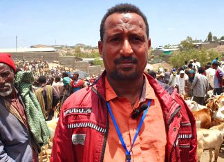 በአካባቢው ያለው አንጻራዊ ሰላም በእርድ እንሰሳት ላይ ተመጣጣኝ ዋጋ እንዲኖር ማስቻሉን የሰቆጣ ከተማ ነዋሪዎች ገለጹ።