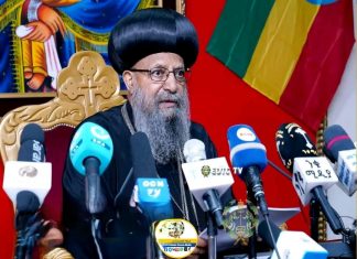 “ቤተ ክርስቲያን ፈተናን መሻገር የሚያስችል ተቋም መፍጠር ይኖርባታል” ብፁዕ ወቅዱስ አቡነ ማትያስ