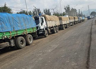 የልማት እና የሰላም ማረጋገጥ ሥራው በትኩረት እየተሠራ እንደኾነ የሰሜን ሸዋ ዞን ገለጸ፡፡