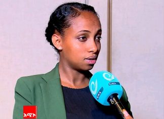 “3 ቢሊዮን ዶላር የውጭ ቀጥታ ኢንቨስትመንት መሳብ ተችሏል” የኢትዮጵያ ኢንቨስትመንት ኮሚሽን