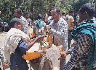 ከ109 ሺህ ኩንታል በላይ የአፈር ማዳበሪያ እያሰራጨ መኾኑን የሰሜን ወሎ ዞን ግብርና መምሪያ ገለጸ።