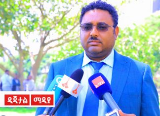በግብርናው ዘርፍ የተሰማሩ ባለሃብቶች የሚያጋጥሟቸውን ችግሮች ለመፍታት ቁርጠኛ መኾኑን መንግሥት አስታወቀ።