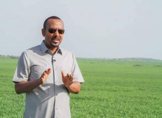 “ባለፉት ጥቂት ዓመታት ዋናውን የዝናብ ወቅት ምርት ሳናስተጓጉል የበጋ ስንዴ ልማት ጥረታችንን ለማስፋፋት ችለናል። የዛሬው ምልከታ የሥራዎችን ቀጣይነት የተመለከትንበት ነበር። ግብርና ጠንካራ ኢንቨስትመንት ይፈልጋል። በሰብል የምንሸፍነው የመሬታችን ይዞታም ቀስ በቀስ በመጨመር ላይ ይገኛል።” ዐቢይ አሕመድ (ዶ.ር) የኢፌዴሪ ጠቅላይ ሚኒስትር