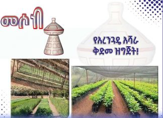 የአረንጓዴ አሻራ ቅድመ ዝግጅት!