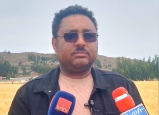 በአማራ ክልል ከ153 ሺህ ሄክታር በላይ መሬት በበጋ መስኖ ስንዴ ማልማት ተችሏል።