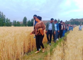 “ሕዝቡ አንድነቱን እና ሰላሙን በመጠበቅ የተጀመሩ የልማት ሥራዎች ውጤታማ እንዲኾኑ ድጋፉን አጠናክሮ መቀጠል ይኖርበታል” አፈ ጉባኤ ፋንቱ ተስፋዬ