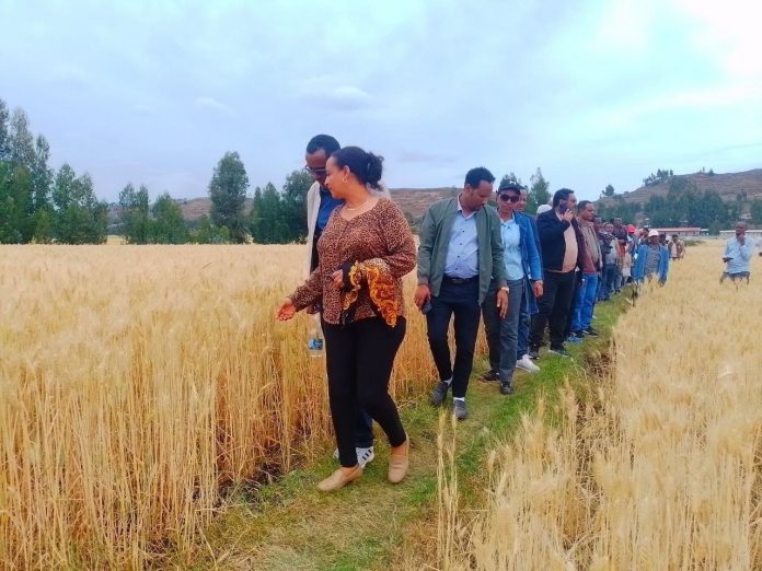 443699009_843086421182617_2712145391309604588_n