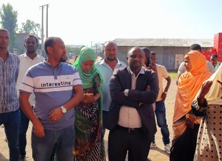በማሽላ ዘር ብዜት አርሶ አደሮችን ተጠቃሚ ማድረግ መቻሉን የኦሮሞ ብሔረሰብ አሥተዳደር አስታወቀ።