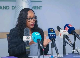 ኢኮኖሚውን እየፈተኑ ያሉ ችግሮችን ለመፍታት በርካታ ጥረቶች መደረጋቸውን የፕላን እና ልማት ሚንስቴር አስታወቀ።