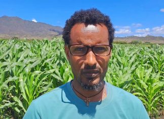 162 ሄክታር መሬት በሁለተኛ ዙር መስኖ እየለማ መኾኑን የቆቦ ከተማ ግብርና ጽሕፈት ቤት አስታዎቀ፡፡