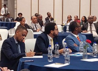 አማራጭ ወደብ ለማግኘት በሚያስችሉ ዓለም አቀፋዊ ተሞክሮዎች ላይ ትኩረት ያደረገ ውይይት እየተካሄደ ነው።