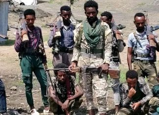መንግሥት ያቀረበውን የሰላም ጥሪ የተቀበሉ ታጣቂዎች ወደ ማኅበረሰቡ ተቀላቀሉ።