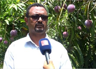 በቃሉ ወረዳ እና ሀርቡ ከተማ እየተከናወኑ ያሉ የልማት ሥራዎች በጥሩ አፈጻጸም ላይ እንደሚገኙ የግብርና ሚኒስትር ዴኤታ መለስ መኮንን (ዶ.ር) ገለጹ፡፡