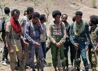 መንግሥት ያቀረበውን የሰላም ጥሪ የተቀበሉ ታጣቂዎች ወደ ማኅበረሰቡ ተቀላቀሉ።