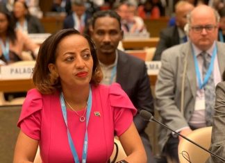 ኢትዮጵያ በታዳጊ ሀገራት ፍትሐዊ እና ጥራት ያለው የጤና አገልግሎት ለማቅረብ ድጋፍ እንዲደረግ ጥሪ አቀረበች።