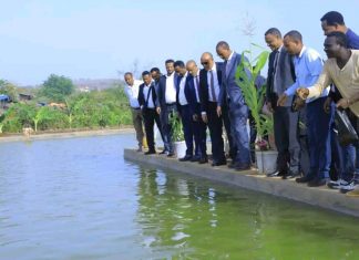 “ለጥያቄዎችና ልዩነቶች ውይይት፣ ምክክርና መደማመጥን ያስቀደመ አካሄድ ሁሉም የሚያተርፍበት ነው” ምክትል ጠቅላይ ሚኒስትር ተመሥገን ጥሩነህ