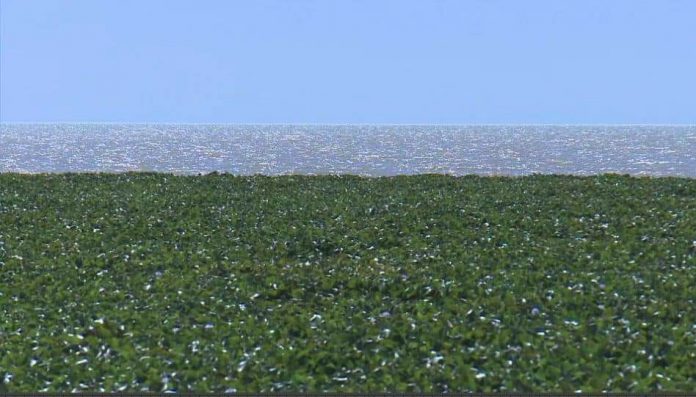 photo_2024-05-16_03-16-00