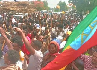 በሰሜን ወሎ ዞን ራያ አላማጣ ወረዳ የዋጃ እና ጥሙጋ ነዋሪዎች የሕወሀትን ወረራ የሚቃወም ሰላማዊ ሰልፍ አደረጉ።