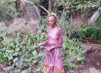 በከተማ ግብርና ልማት የተሻለ ውጤት እየተመዘገበ መኾኑን የሰቆጣ ከተማ አሥተዳደር ግብርና ጽሕፈት ቤት አስታወቀ።