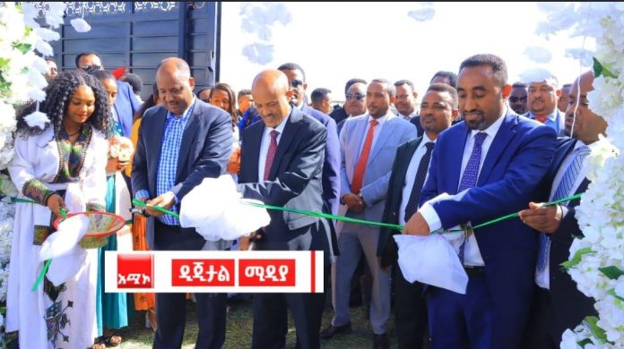 446747314_855086513315941_6748490756758625720_n