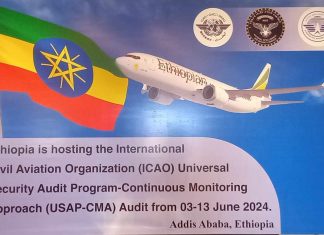 “የአቬየሽን ደህንነቱ ጠንካራ እና ችግሮች የማይጥሉት ተቋም ኾኗል” ምክትል ዋና ዳይሬክተር ጀኔራል ሲሳይ ቶላ