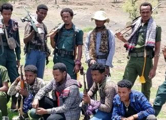 ታጥቀው በጫካ ሲንቀሳቀሱ የቆዩ ኃይሎች ማኅበረሰቡን ተቀላቀሉ።