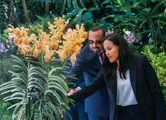 ጠቅላይ ሚኒስትር ዐቢይ አሕመድ እና ቀዳማዊት እመቤት ዝናሽ ታያቸው በሲንጋፖር የመጀመሪያ ቀን ጉብኝታቸው በብሔራዊው የእፅዋት ማዕከል ባህላዊውን እፅዋት የመሰየም ሥነሥርዓት ተካፍለዋል።