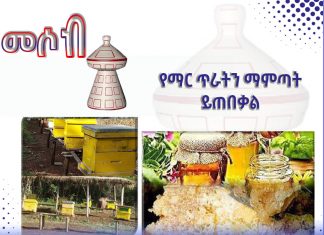 እየዘመነ የመጣው የንብ ማነብ ሥራ!