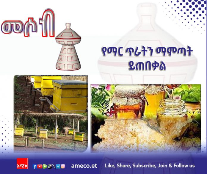 447778855_855074843317108_8501054639255212_n