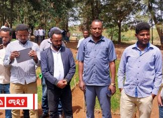 ለአርንጓዴ አሻራ ከ176 ሺህ በላይ የተለያዩ ችግኞችን ዝግጁ ማድረጉን የቃብትያ ሁመራ ወረዳ አሥተዳደር ገለጸ።