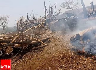 ሕወሀት በሰሜን ጎንደር ዞን አዳርቃይ ወረዳ ታጣቂ ኃይሉን አስርጎ በማስገባት ንጹሃንን መግደሉን፣ የንብረት ውድመት እና ዘረፋ መፈጸሙን የአካባቢው ነዋሪዎች ተናገሩ።