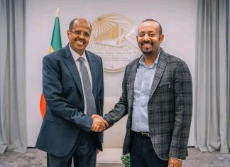 ጠቅላይ ሚኒስትር ዐቢይ አሕመድ (ዶ.ር) ከጂቡቲ የውጭ ጉዳይ ሚኒስትር መሃሙድ አሊ ዩሱፍ ጋር ተወያዩ።